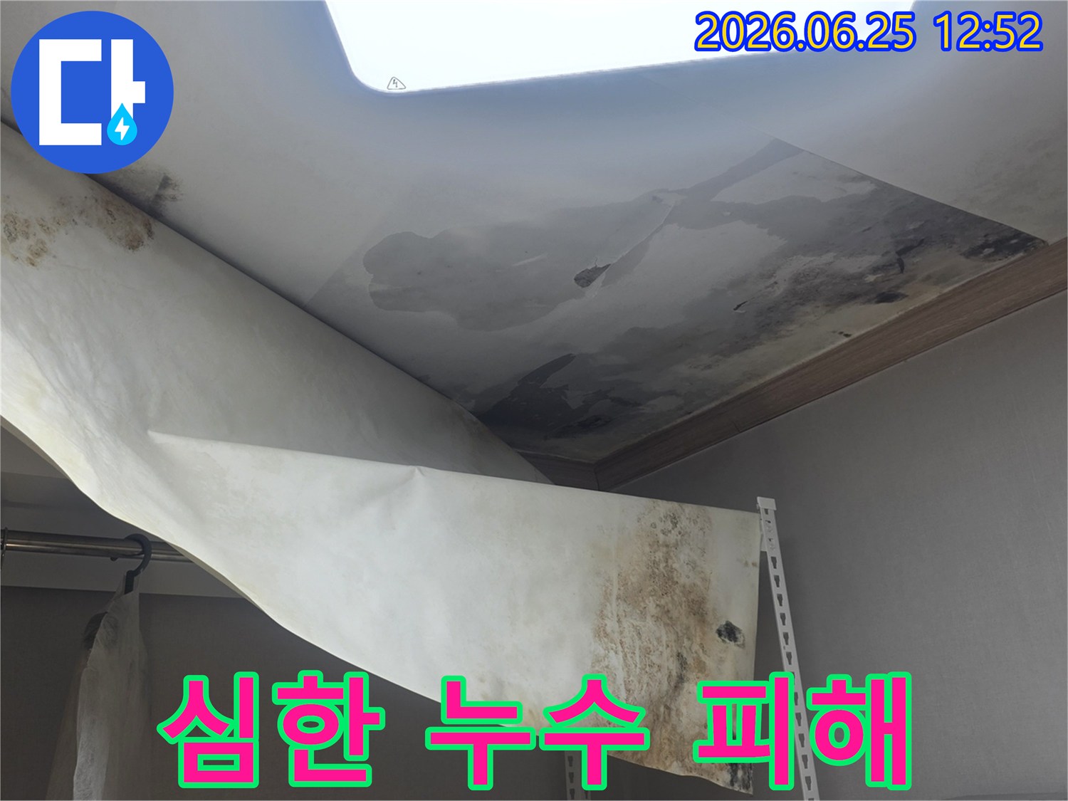 천장에서 물이 새서-벽지가 떨어지고-검은 곰팡이가 가득한-심각한 누수 현장입니다