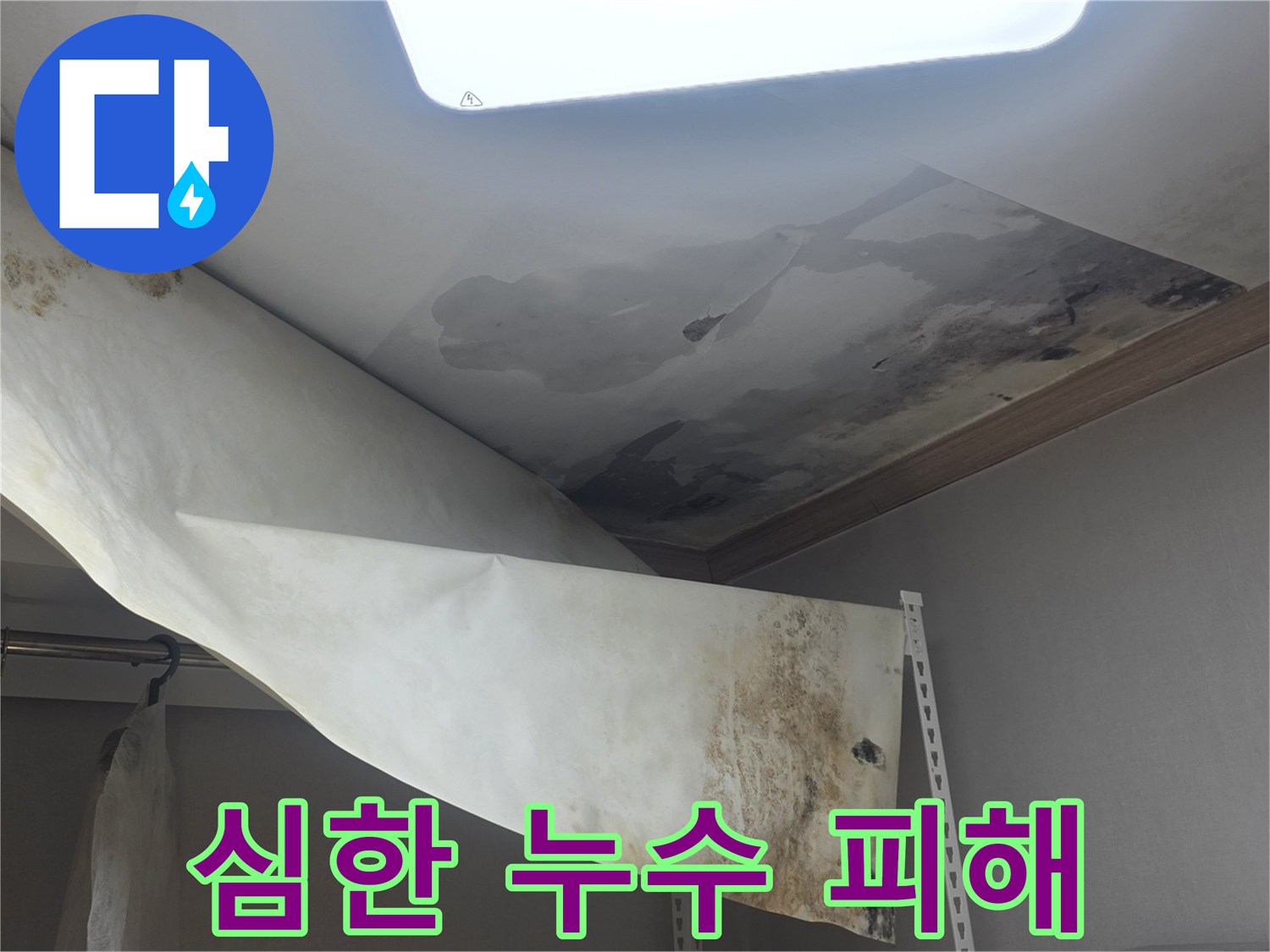 천장에서 물이 새서-벽지가 떨어지고-검은 곰팡이가 가득한-심각한 누수 현장입니다