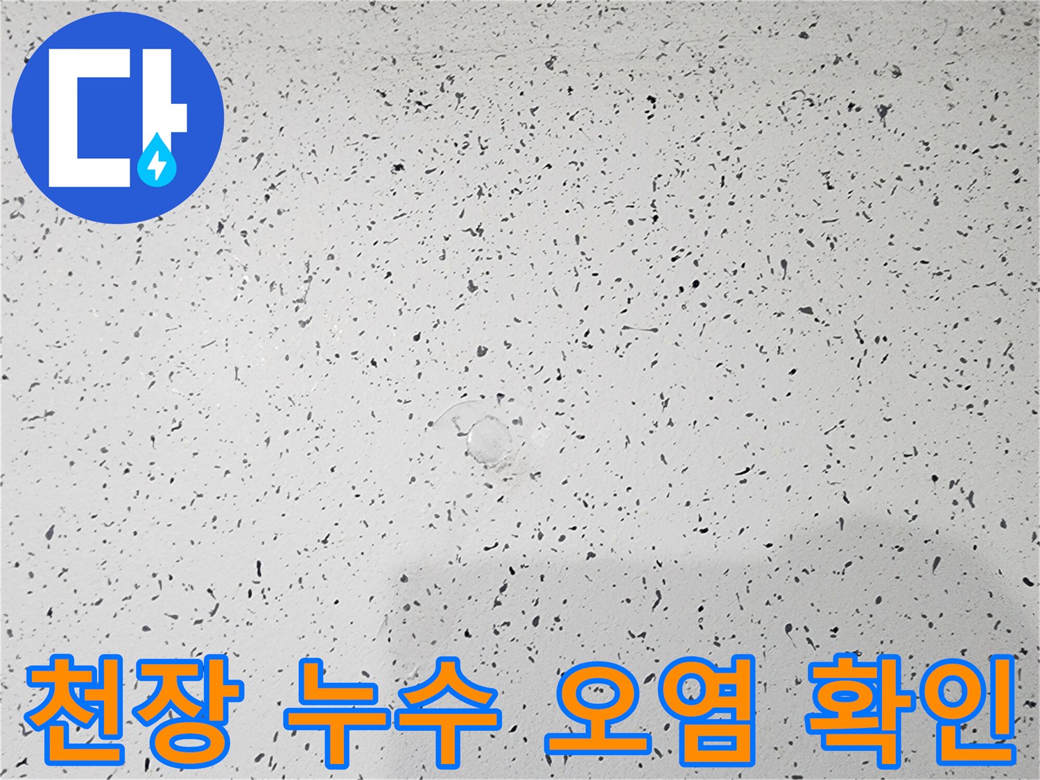 복도 천장 마감재의 광범위한 물 얼룩과 변색 현상