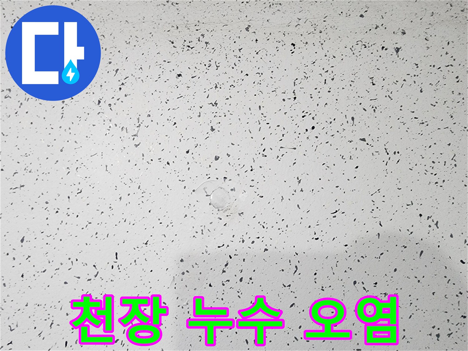 복도 천장에 나타난 물샘 흔적과 검은색 변색 부위