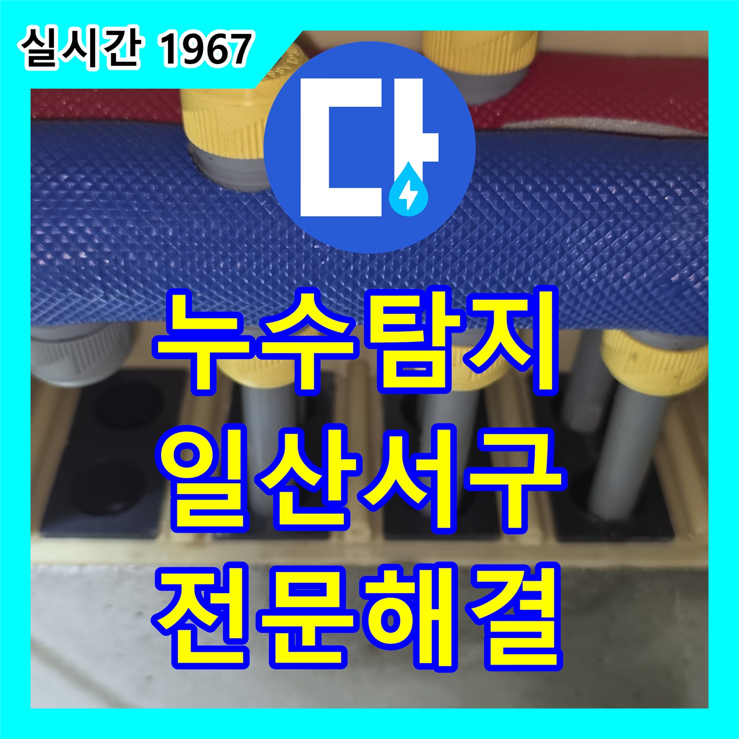 누수탐지전문가, 발생한 누수 문제, 전문적으로 탐지하고 공사했는지 일산서구