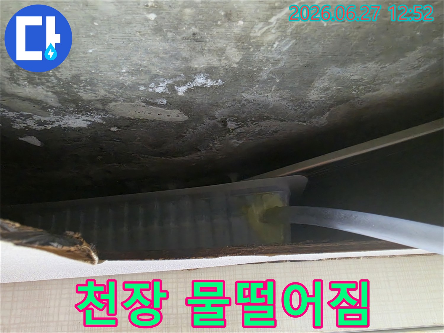 천장에서 물방울이 맺혀-떨어지고 있는 심각한 누수 현장의 클로즈업