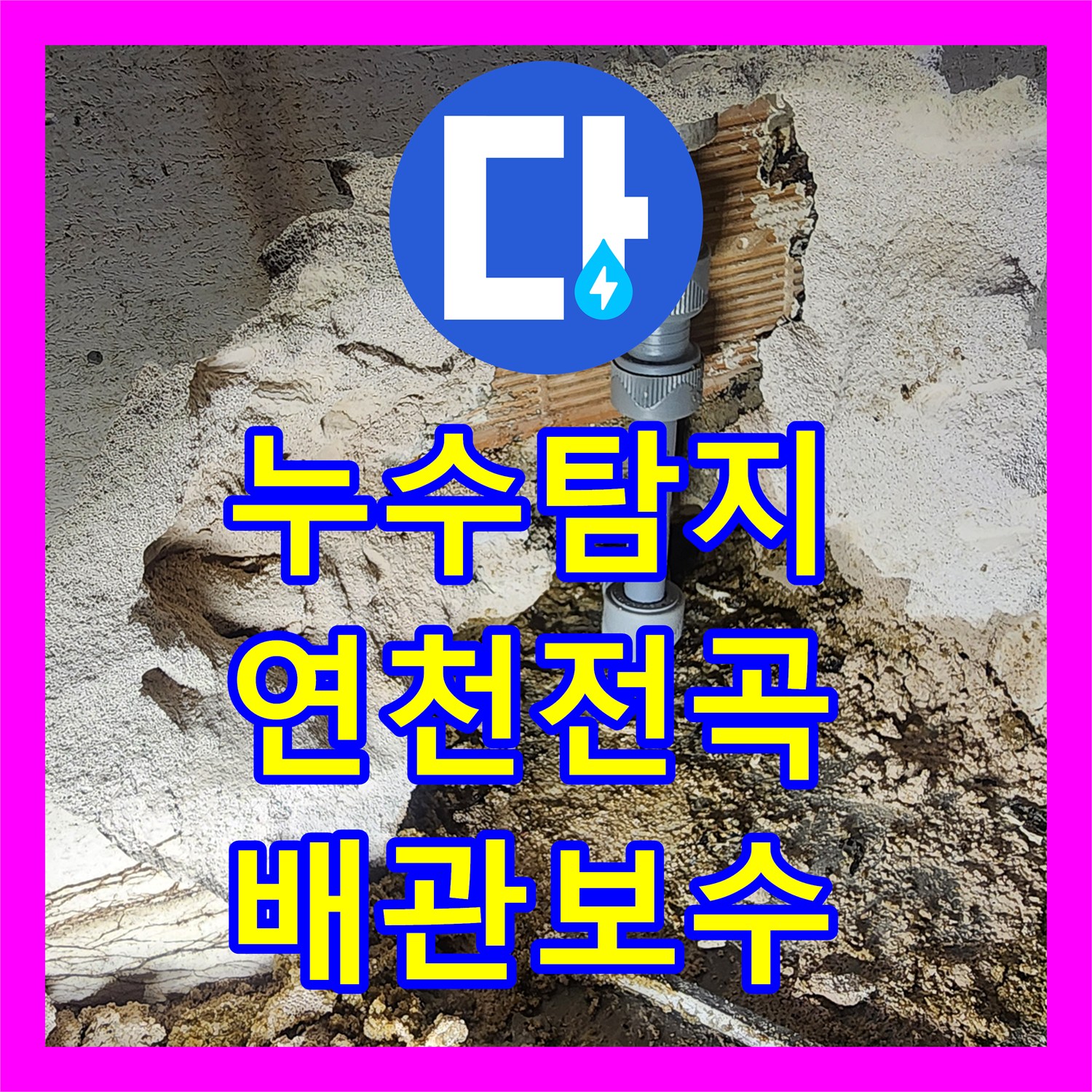 누수탐지 헬스장 샤워실 배관 누수로 외부 바닥까지 물이 고인 현장 경기 연천군 전곡읍