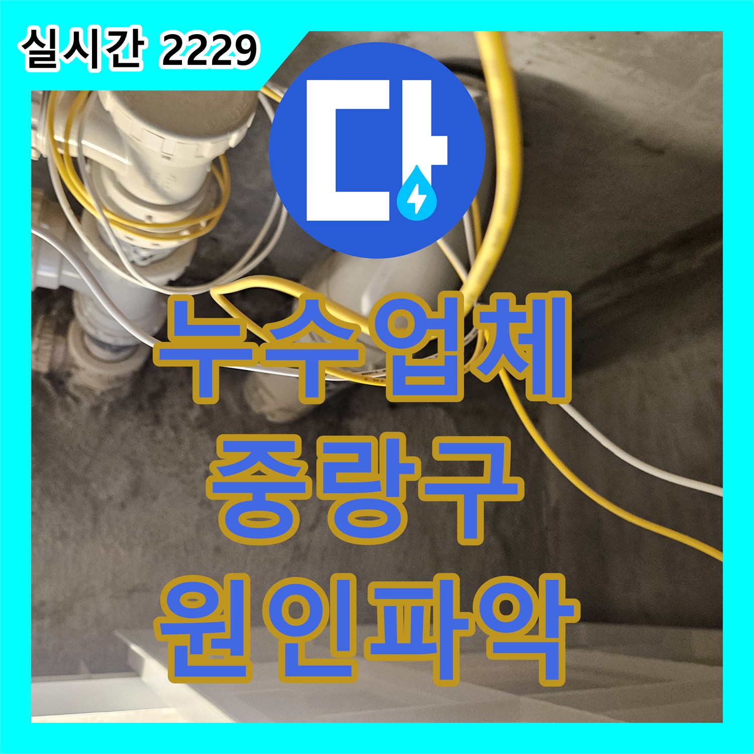 누수탐지업체, 천장 누수 흔적 정밀 조사하여 원인 파악한 서울 중랑구