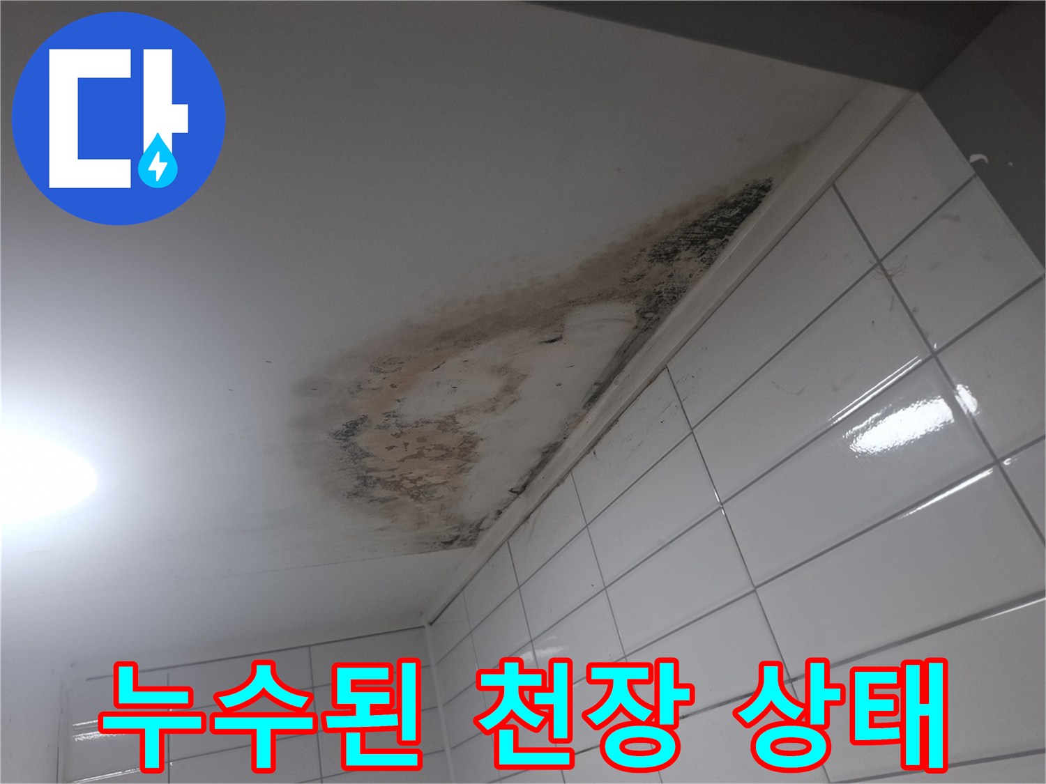 물자국과 곰팡이가-심하게 나타난 화장실 천장 모습