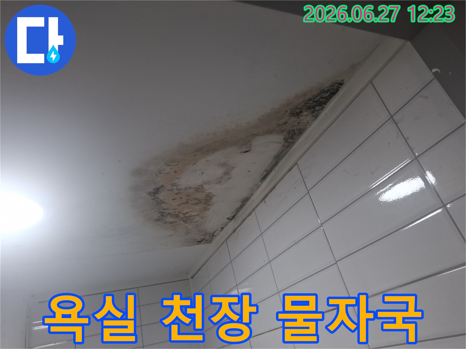 욕실-천장에-발생한-심각한-물자국과-곰팡이-오염-현장-사진