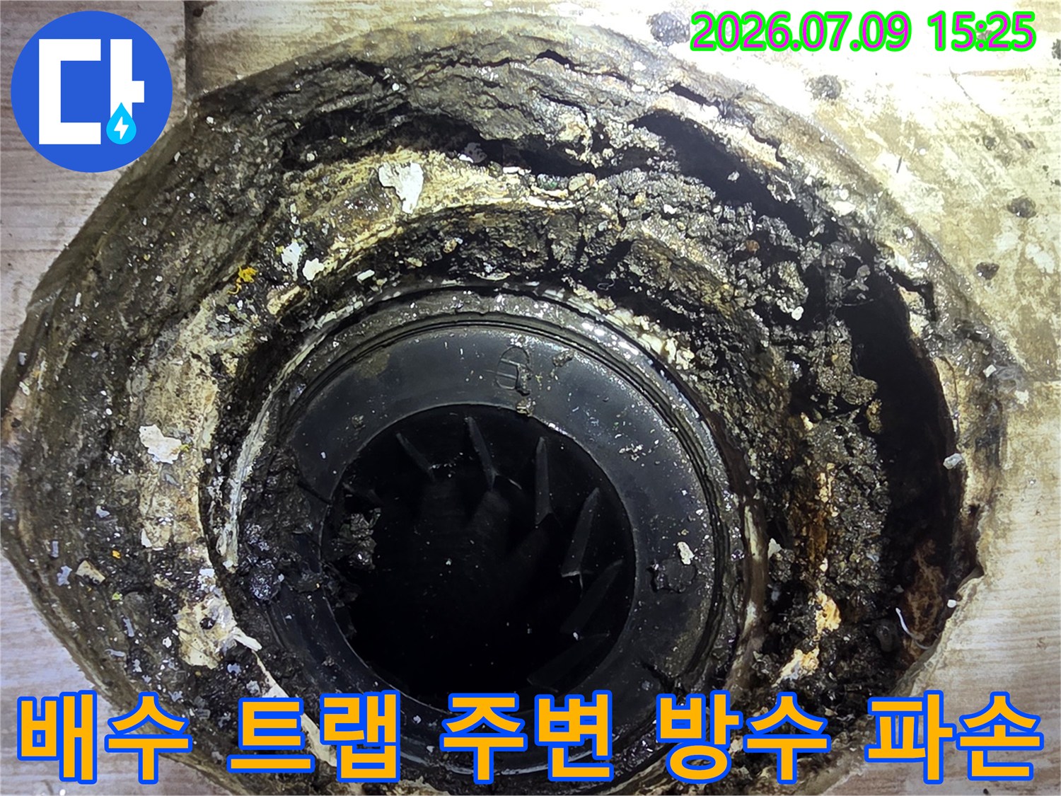 배수구와 바닥면 사이의 틈새가 벌어지고 오염된 현장 사진