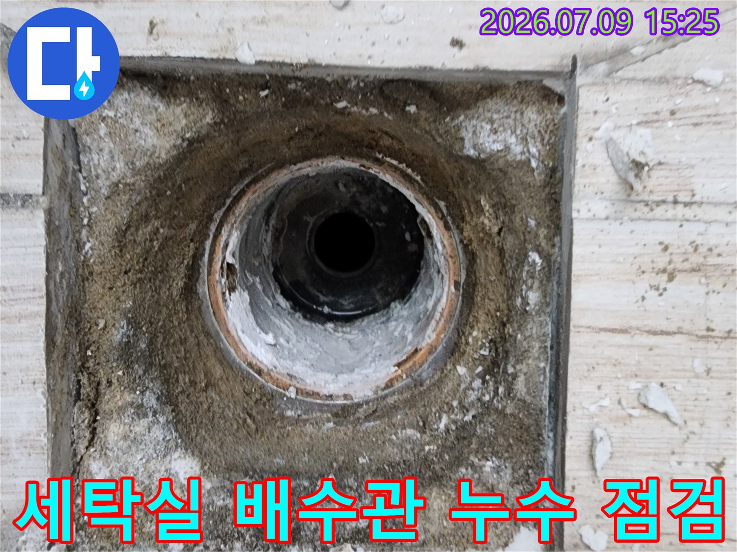 오염된 세탁실 배수 트랩과 노출된 내부 배관 구조