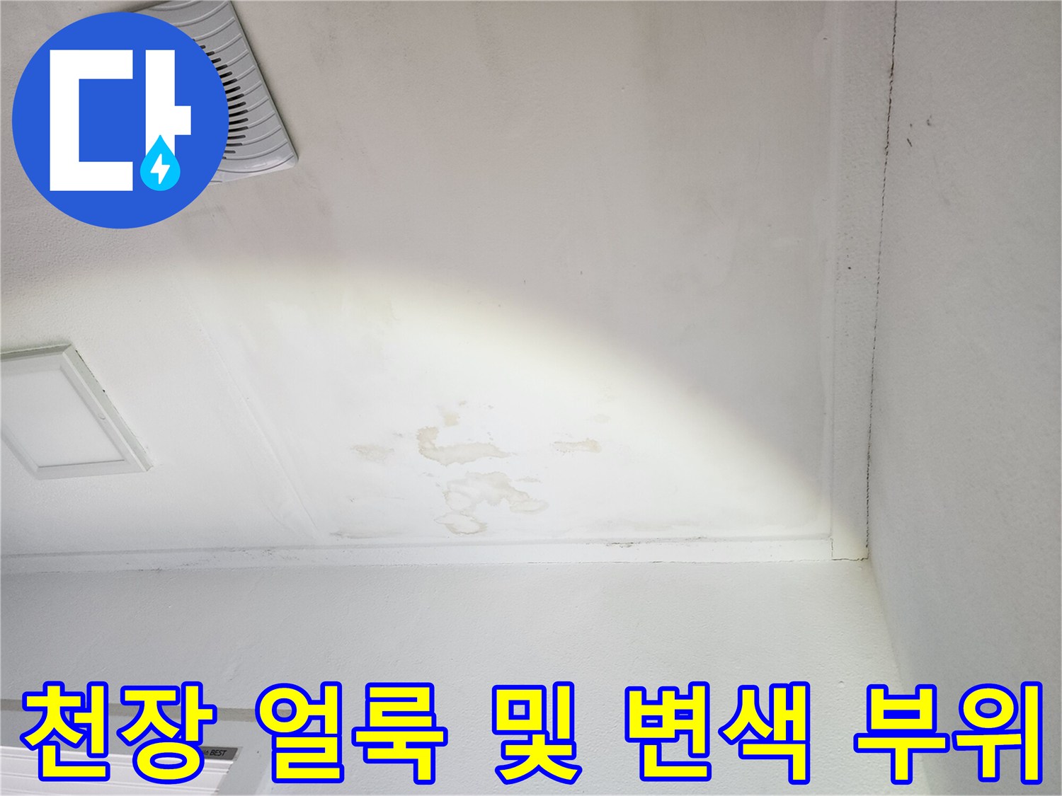 양주시 장흥면 현장의 천장 벽면 물샘 흔적과 변색된 상태