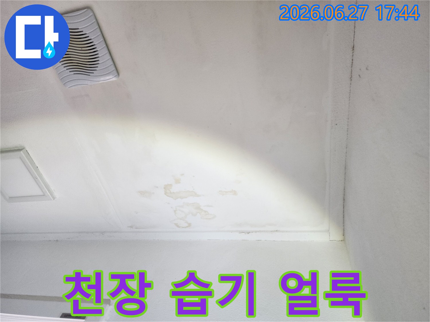 천장-표면에-나타난-물-얼룩과-습기로-인한-변색-현장-사진