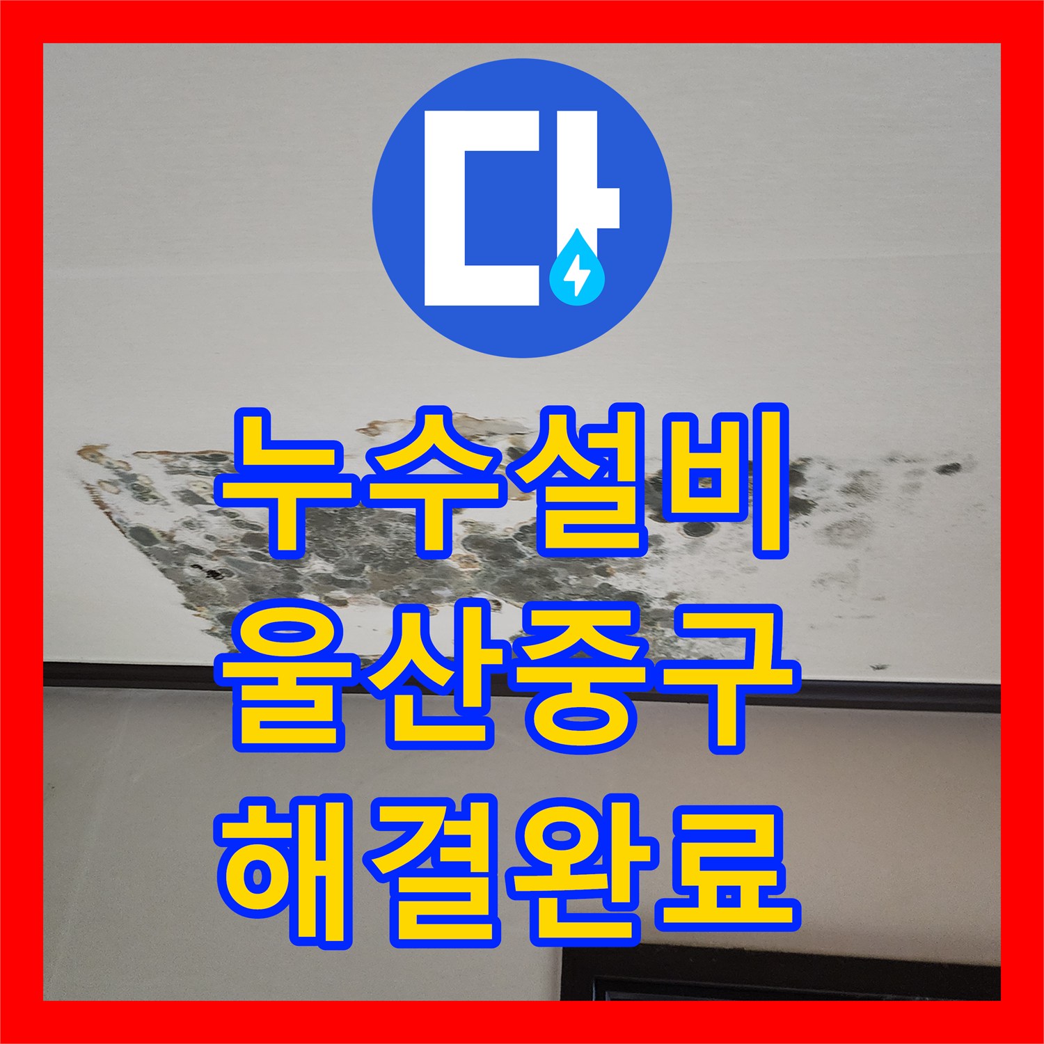 누수설비 울산 중구 학성동 아래층 천장 물샘 원인 파악 및 배관 보수 과정
