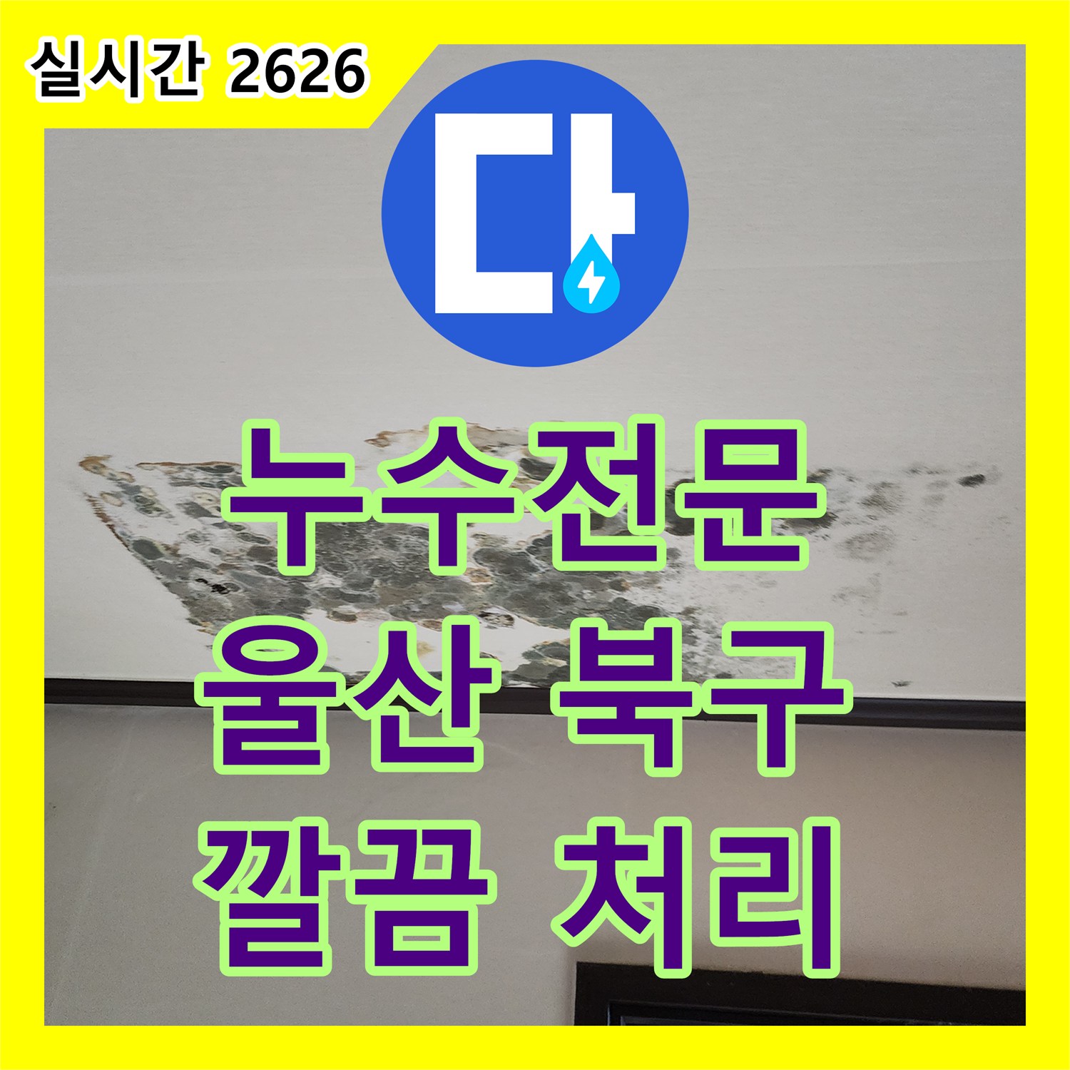 누수전문, 보일러실 누수 의심되는 누수 원인, 전문적으로 진단하고 보수 울산광역시 북구 송정동