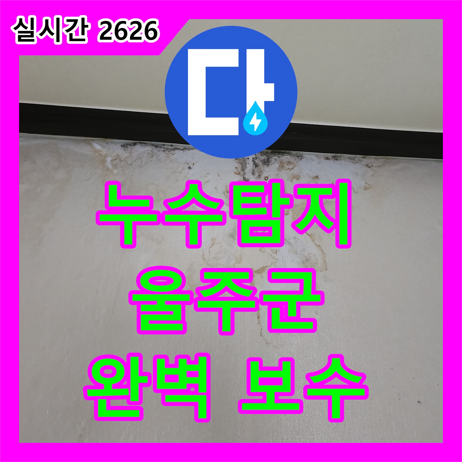 누수탐지전문업체, 천장 몰딩 누수 문제, 최신 장비로 탐지하여 해결 과정 안내 울산광역시 울주군 서생면