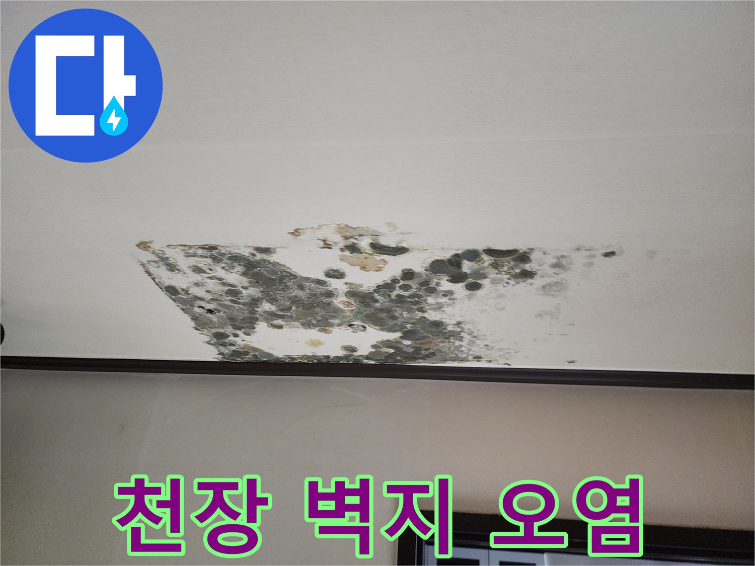 물에젖어-곰팡이가 피어있는 천장 벽지 모습