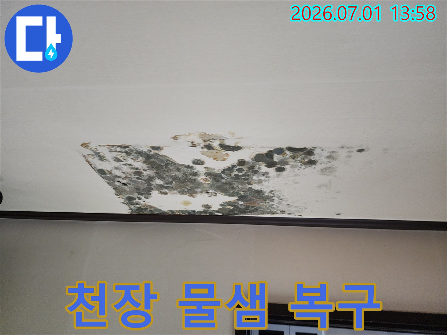 상가-천장에-발생한-누수-물샘-현상과-곰팡이-피해를-보여주며-피해-최소화-및-완벽한-복구의-필요성을-강조하는-사진입니다