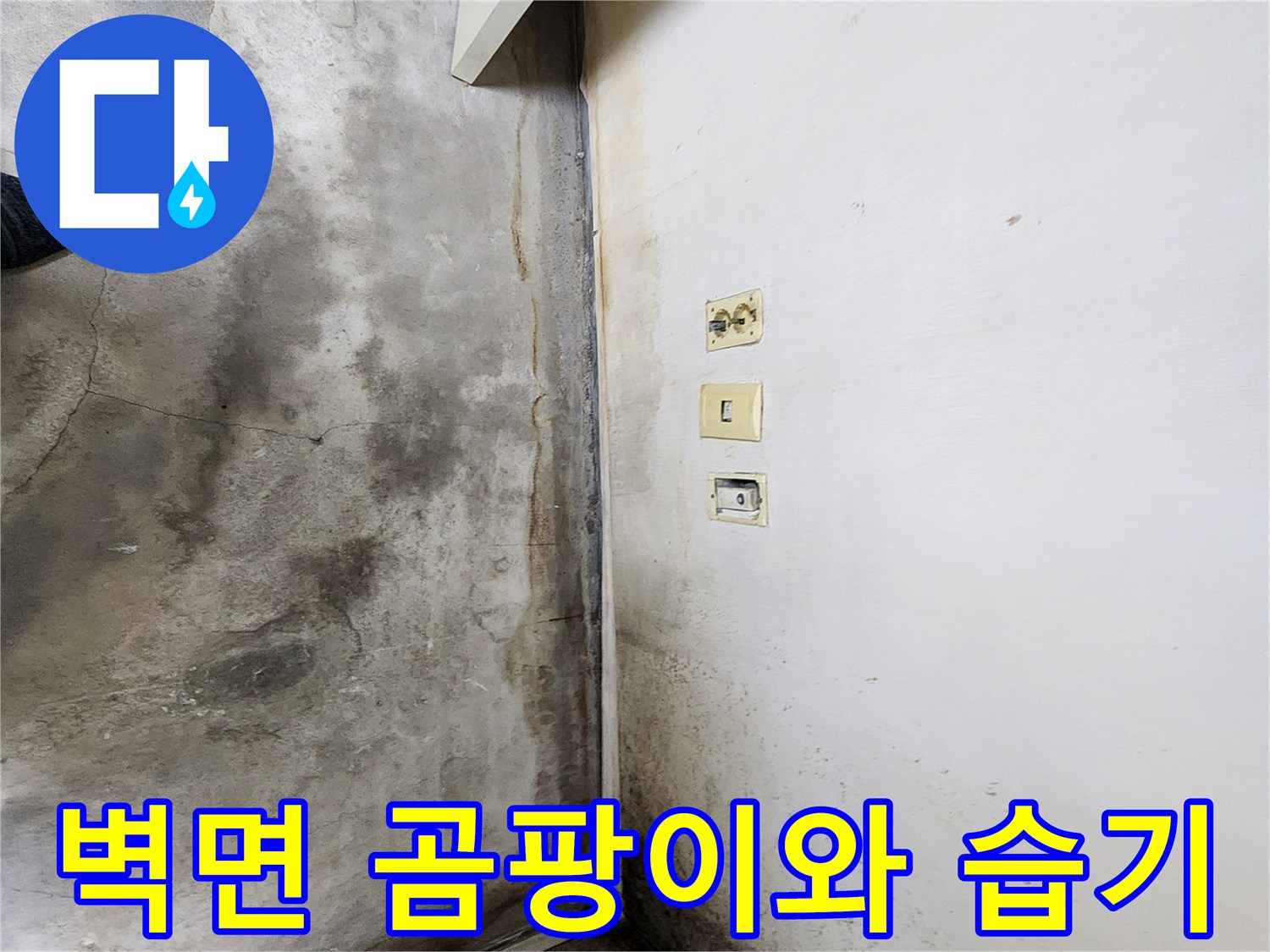 울산 중구 학성동 현장-벽면 하단부 곰팡이 발생 상태