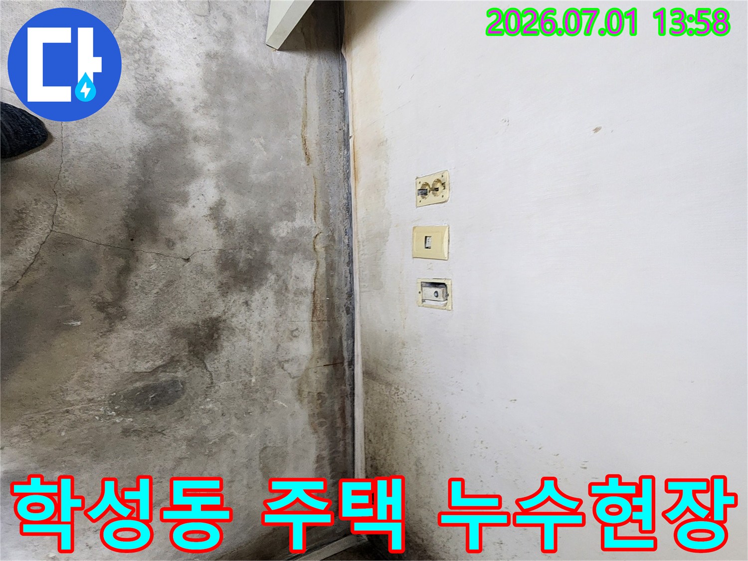 울산-학성동-주택-내부-벽면과-바닥에-누수로-인한-곰팡이와-오염이-심각한-모습