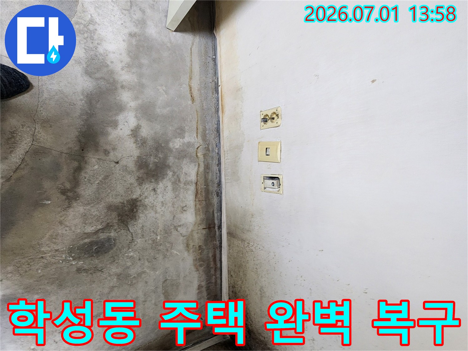 울산-학성동-주택-내부-벽면과-바닥에-누수로-인한-심각한-곰팡이와-오염이-발생한-현장-사진