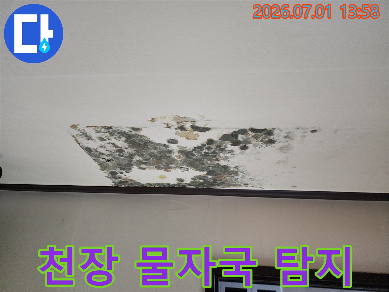 천장에-발생한-누수-물자국과-곰팡이-현장을-보여주며-누수-탐지의-중요성을-강조하는-사진입니다