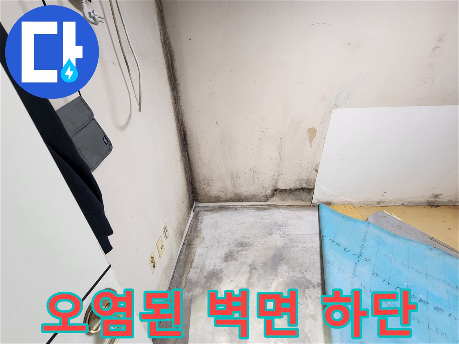학성동 누수 현장-곰팡이가 번진 젖은 벽면 모습