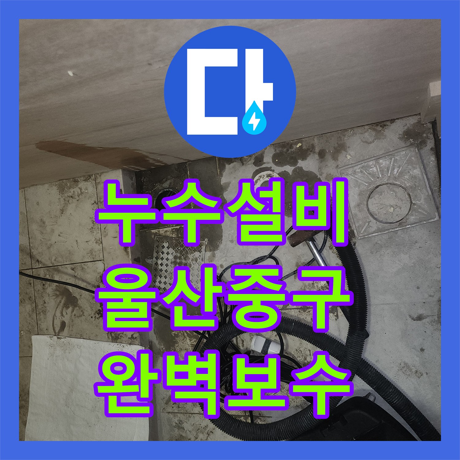 누수설비 배수구 유가 탈거 후 정밀 방수 및 통수 작업 울산광역시 중구 병영2동