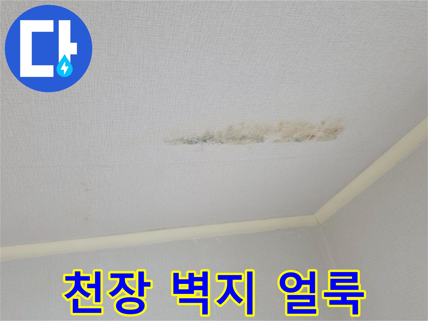 안방 천장 벽지에 발생한 누수 흔적과 오염 상태