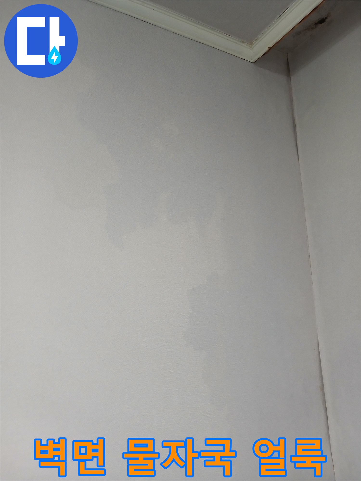 아파트 벽면에 발생한 커다란 습기 얼룩과 변색된 벽지 상태