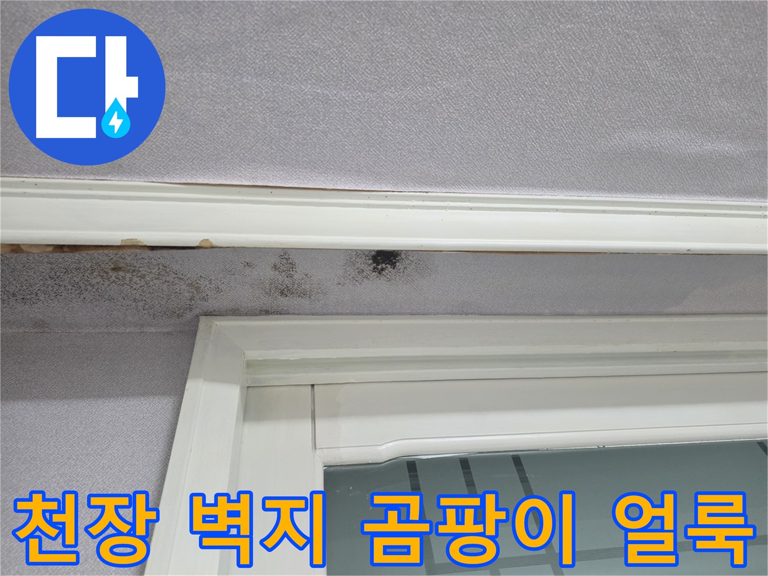 창문 위쪽-천장 벽지-곰팡이 자국-발견