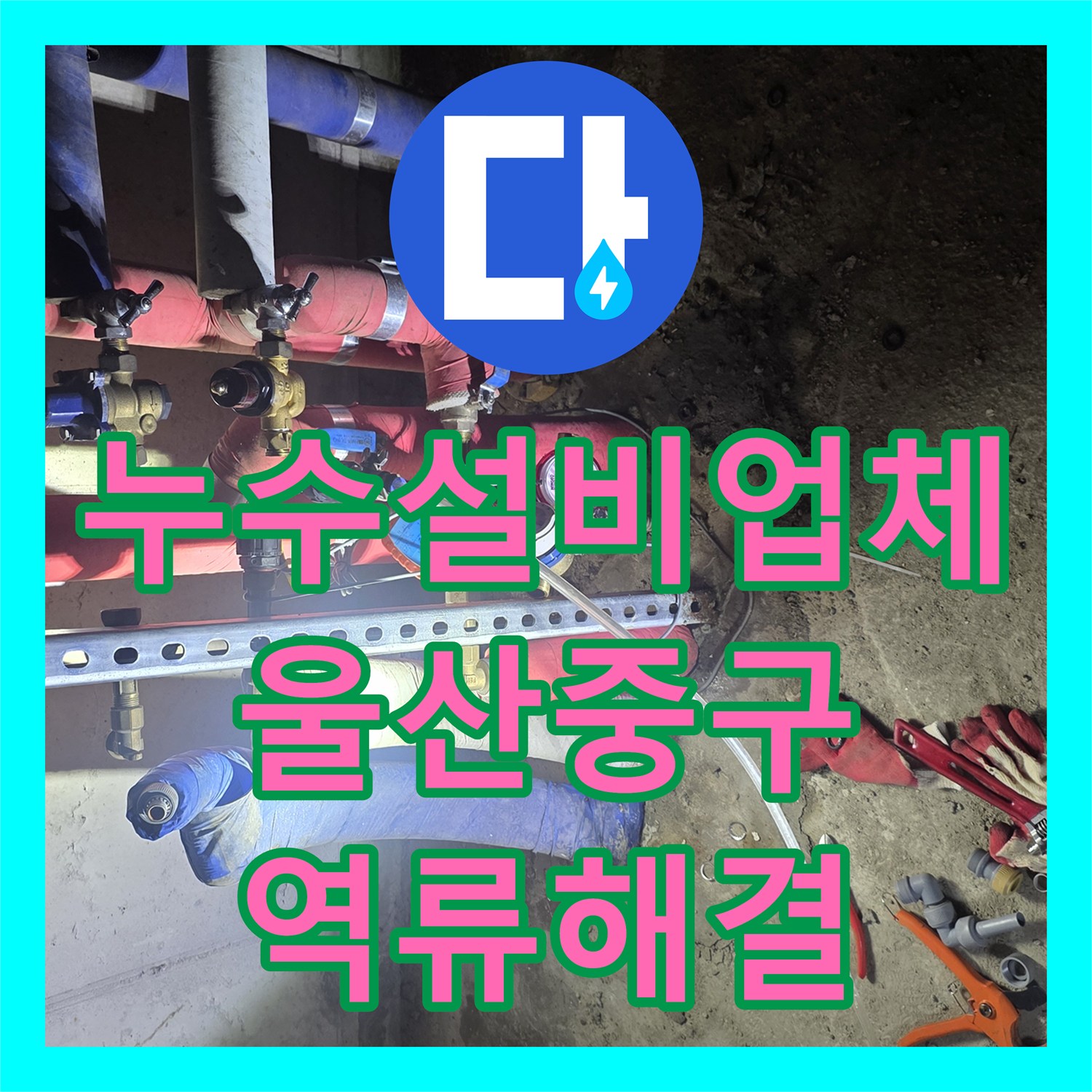누수설비업체 하수구 막힘으로 인한 역류 누수를 잡아낸 울산 중구 성안동 현장