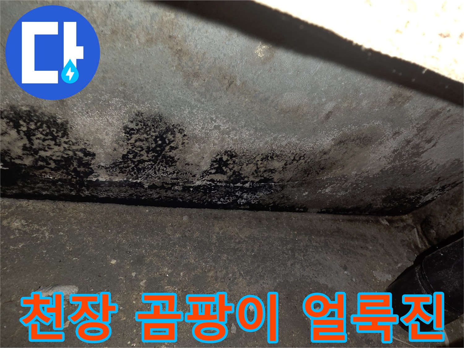 누수가-지속되어-발생한-천장-곰팡이-상태