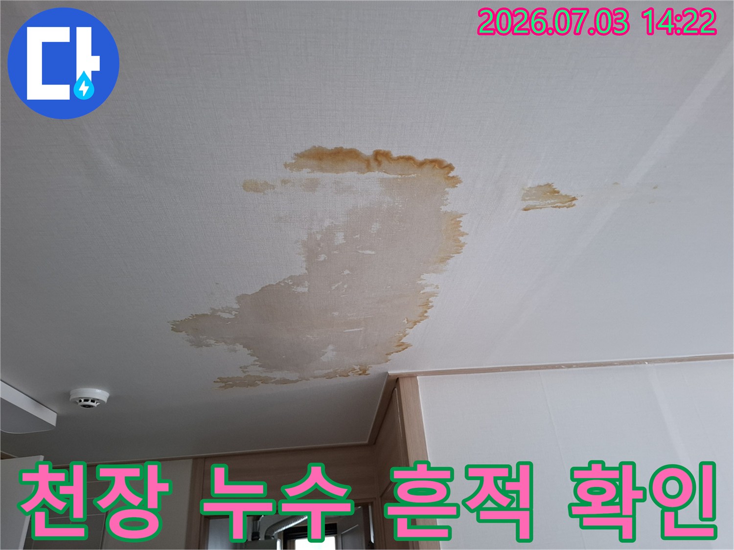 하얀색 천장에 넓게 번진 갈색 계열의 누수 얼룩