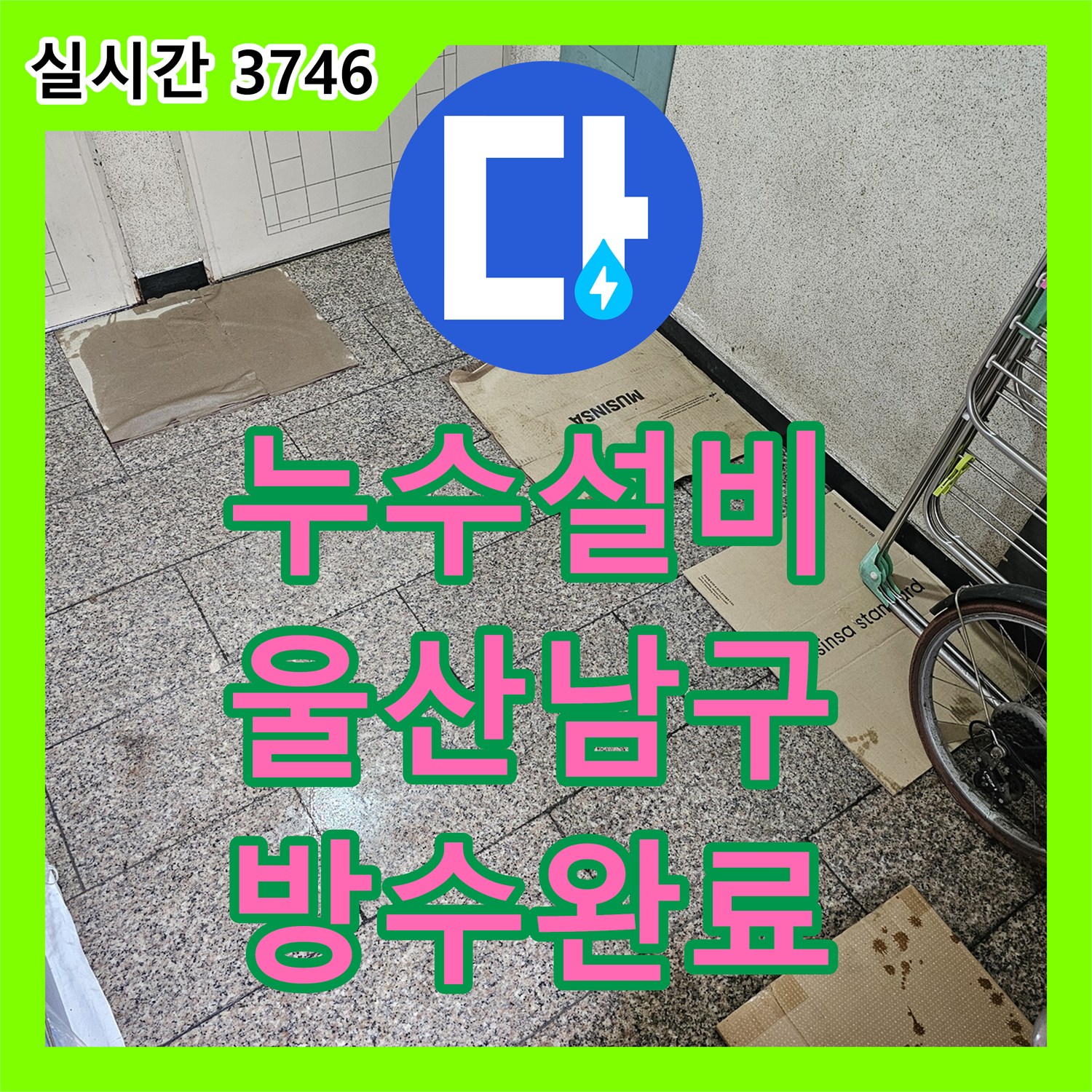 누수설비 지층 현관 바닥 누수 증상을 정밀 진단하여 배관 및 방수 조치한 사례 울산광역시 남구 신정3동