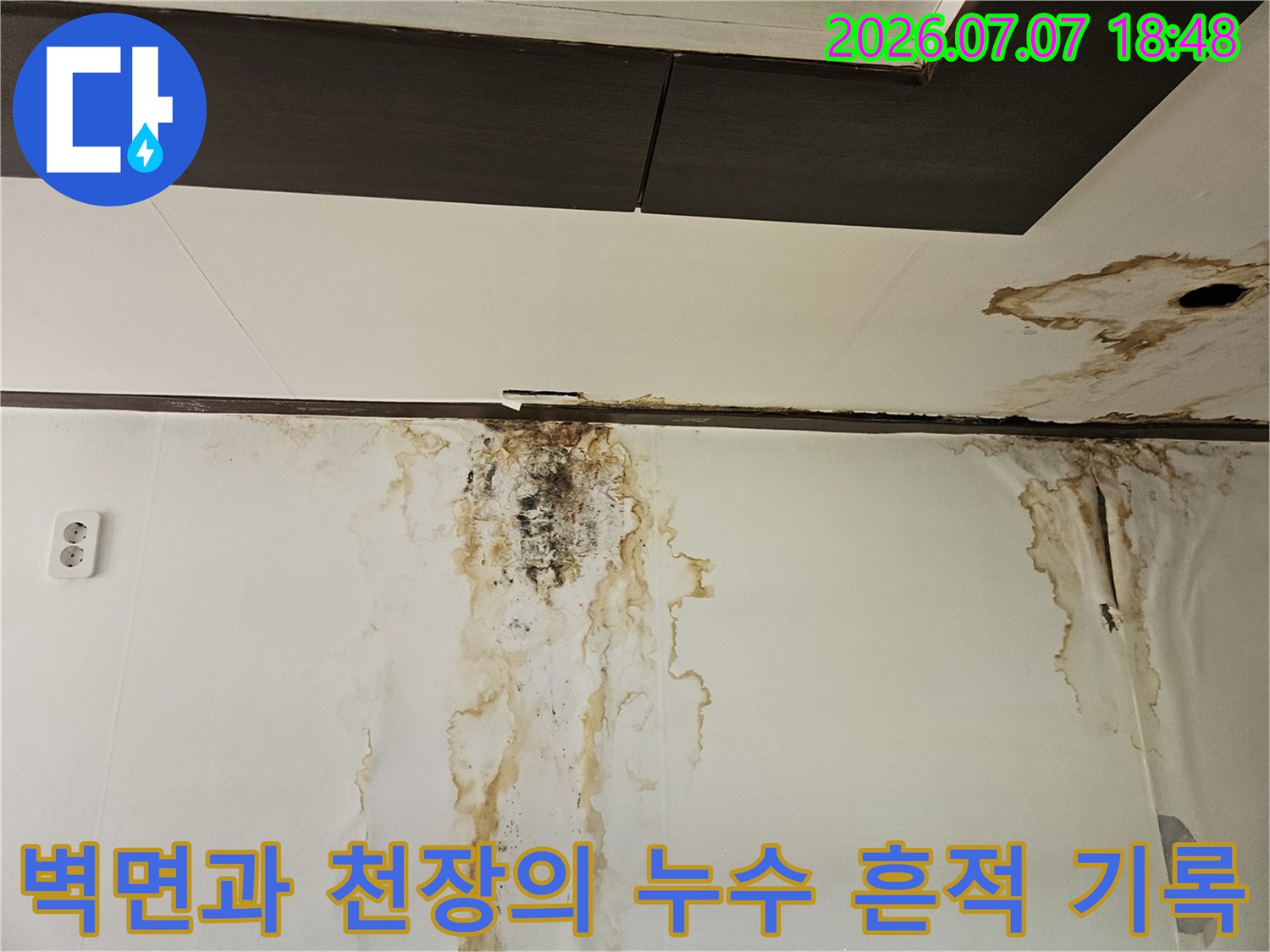 곰팡이와 물자국으로 오염된 실내 벽체 및 천장부