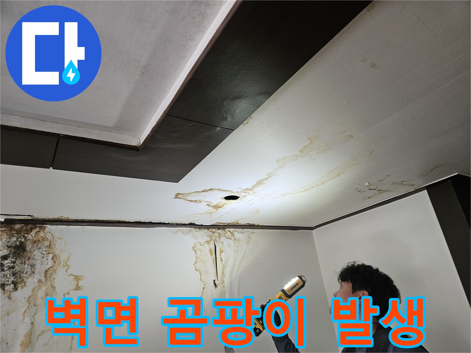 누수가 진행된-천장과 벽면의 곰팡이 및 얼룩 현황