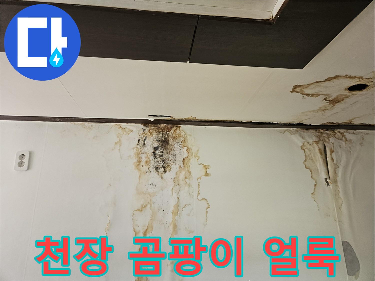 성북구 정릉동 아파트 아래층 천장 벽면의 누수 흔적과 곰양균 발생 상태