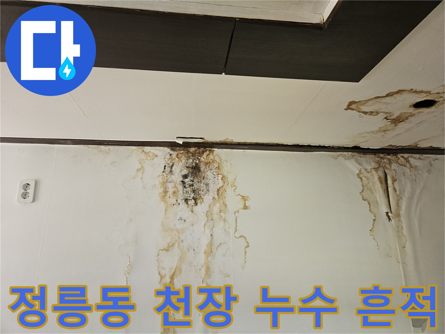 성북구 정릉동 아파트-천장과 벽면에 번진 갈색 물 얼룩 및 곰팡이 현황