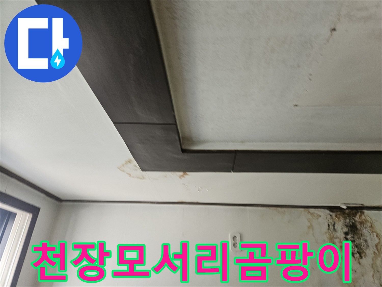 성북구 정릉동-천장과 벽면 경계부의 심각한 곰팡이 오염