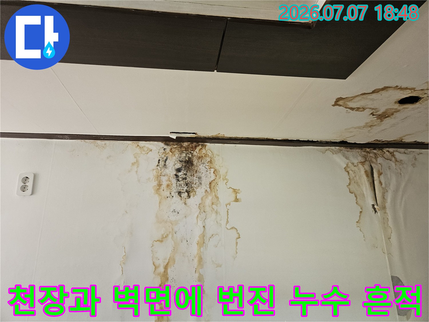 천장과 벽면이 젖어 생긴 물자국과 곰팡이가 섞여 있는 모습