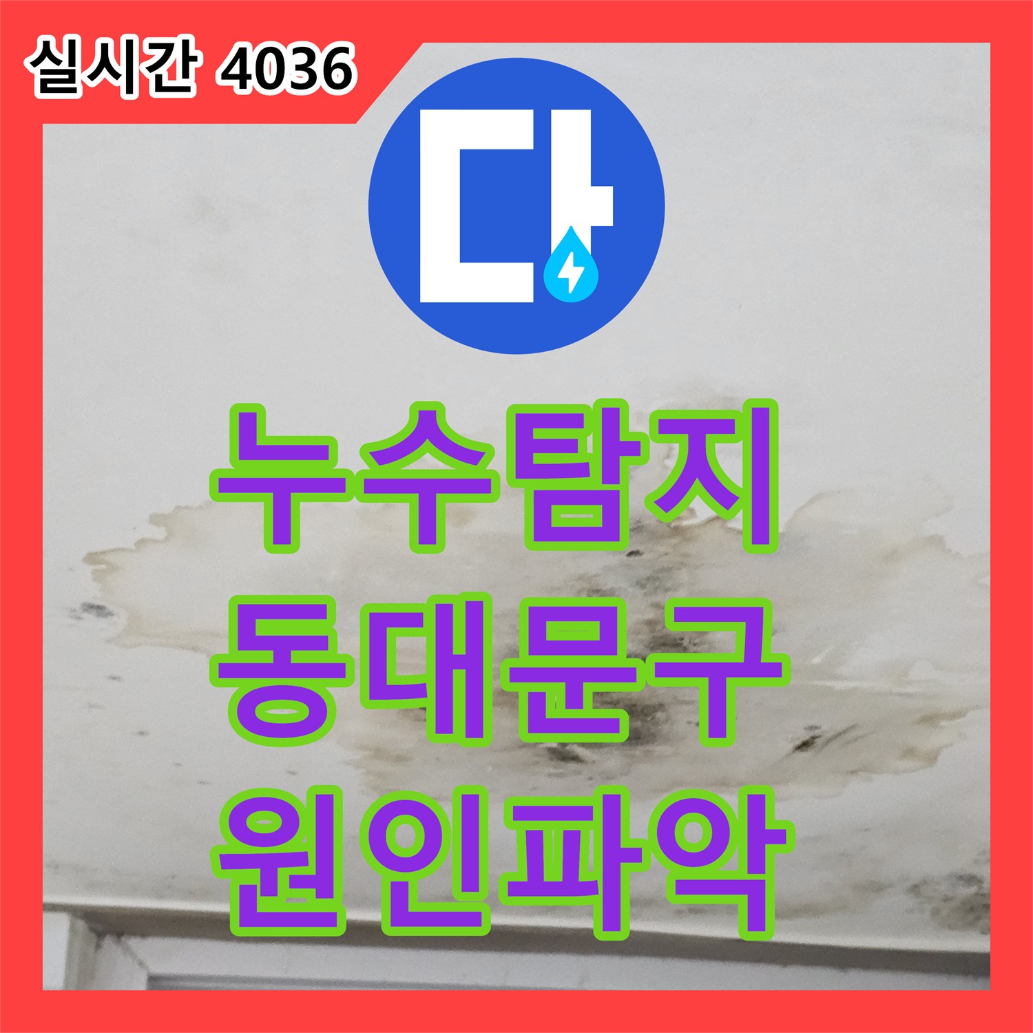 누수탐지 지하층 천장 물자국과 곰팡이 원인을 정밀 진단하여 보수한 사례 서울 동대문구 휘경2동