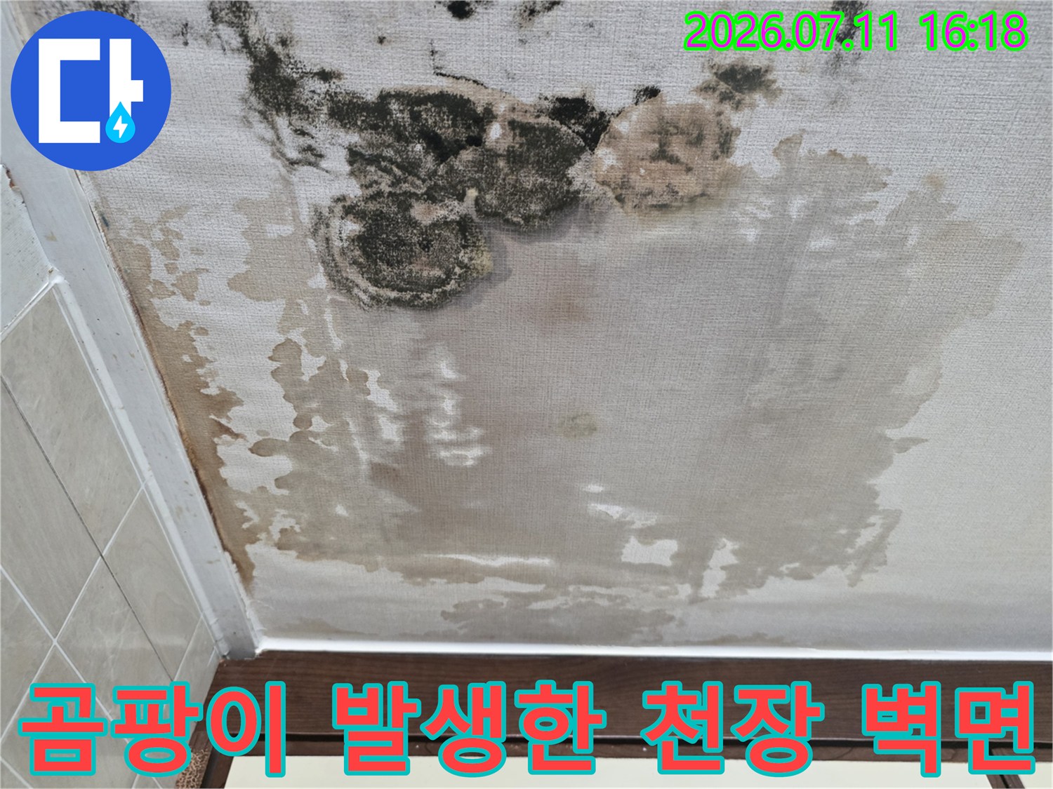 습기로 인해 변색되고 곰팡이가 번진 천장 마감재 모습