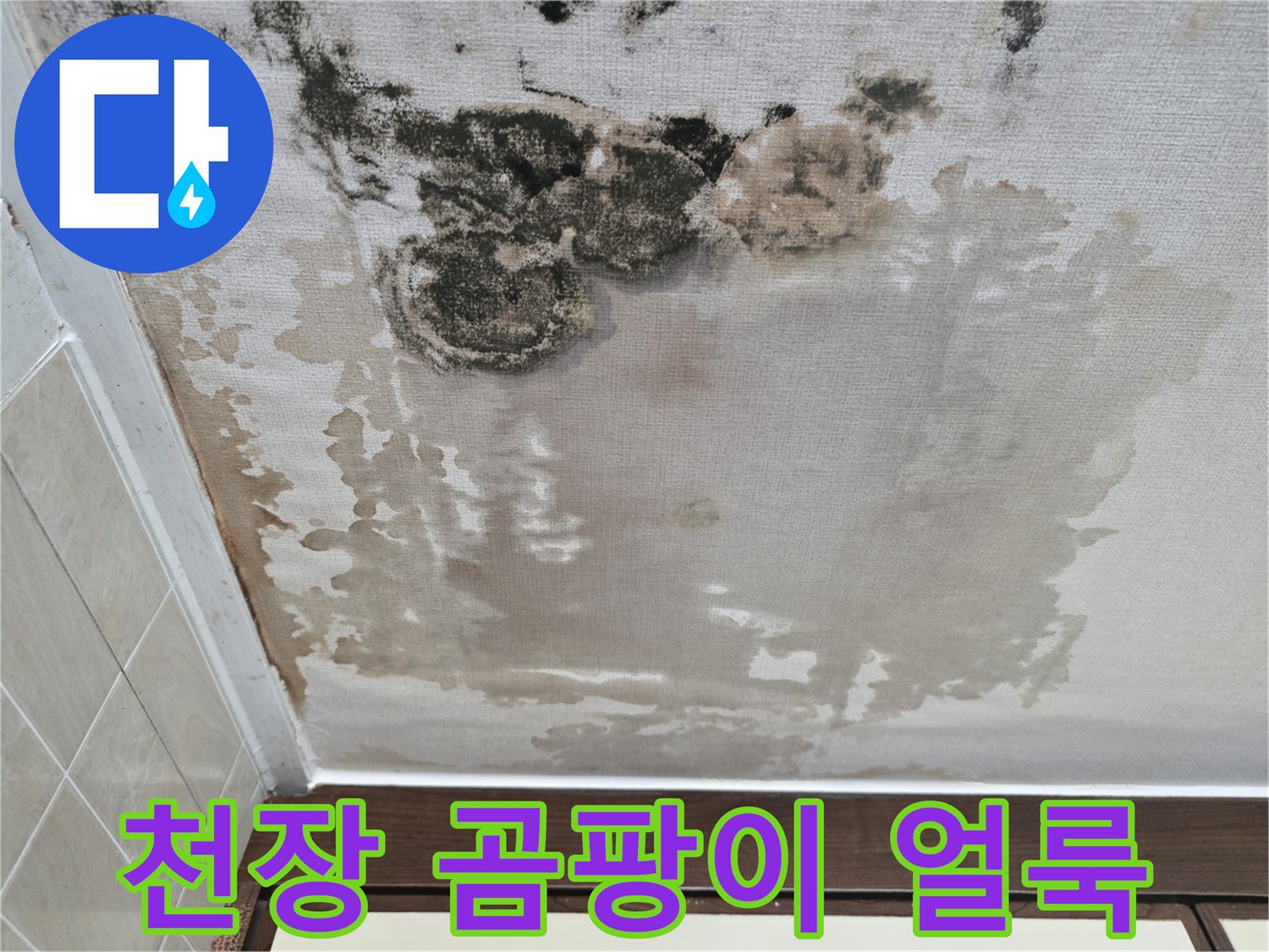 아파트 천장 벽지에 발생한 검은 곰팡이와 습기 얼룩