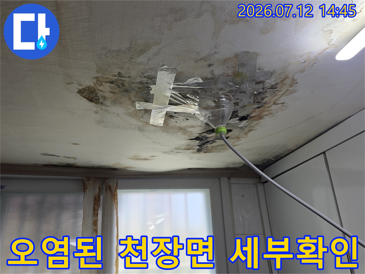 지속적인 누수로 인해 곰팡이와 물때가 형성된 배관 부근