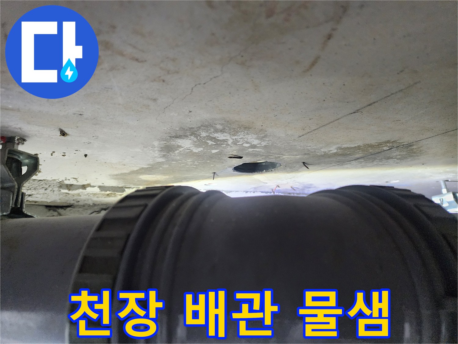 성북구 화장실 천장 내부의 하수 배관 연결 부위 점검 모습