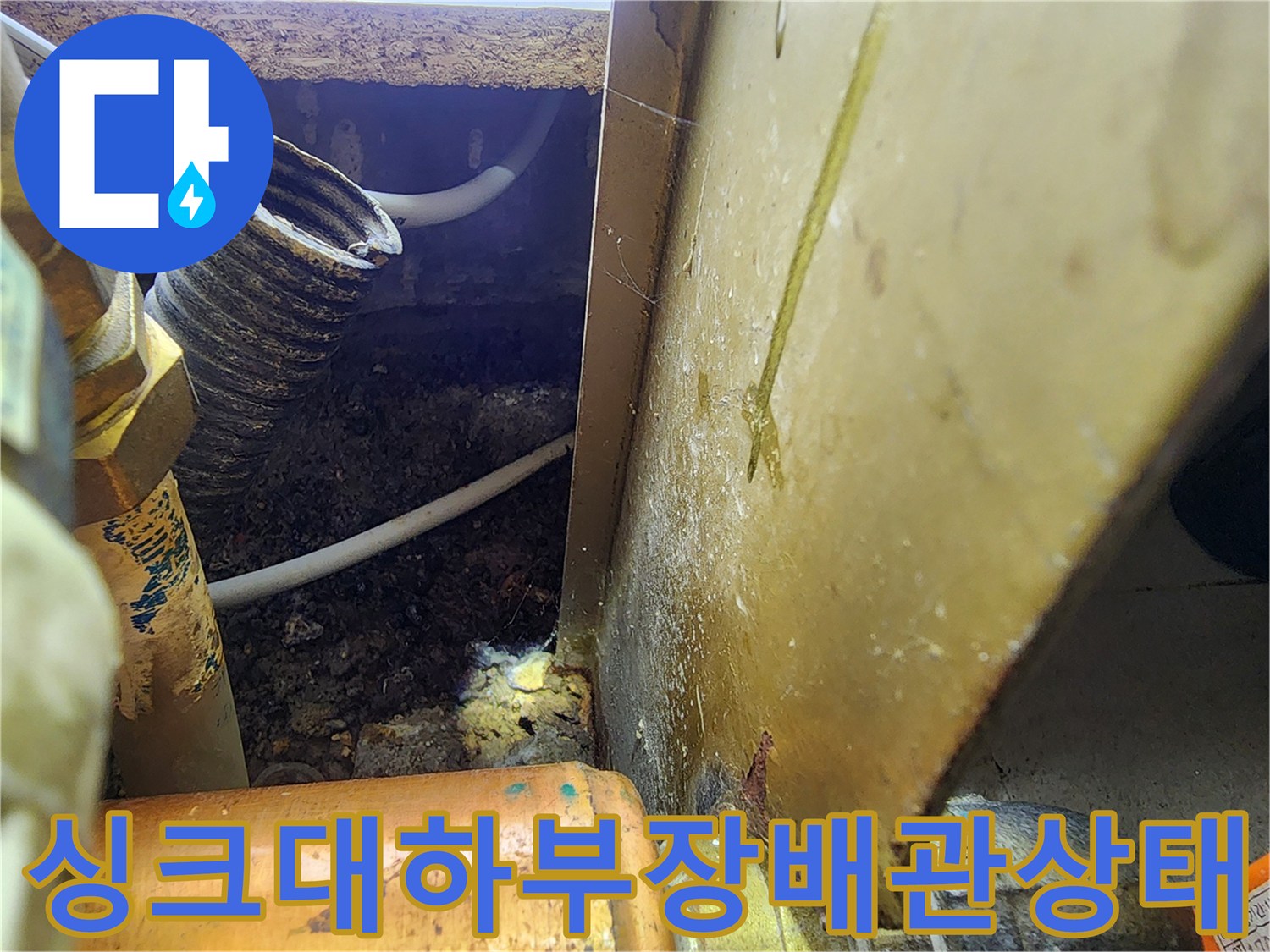 분당-아파트-싱크대-하부장-배관-주변-물고임-현상