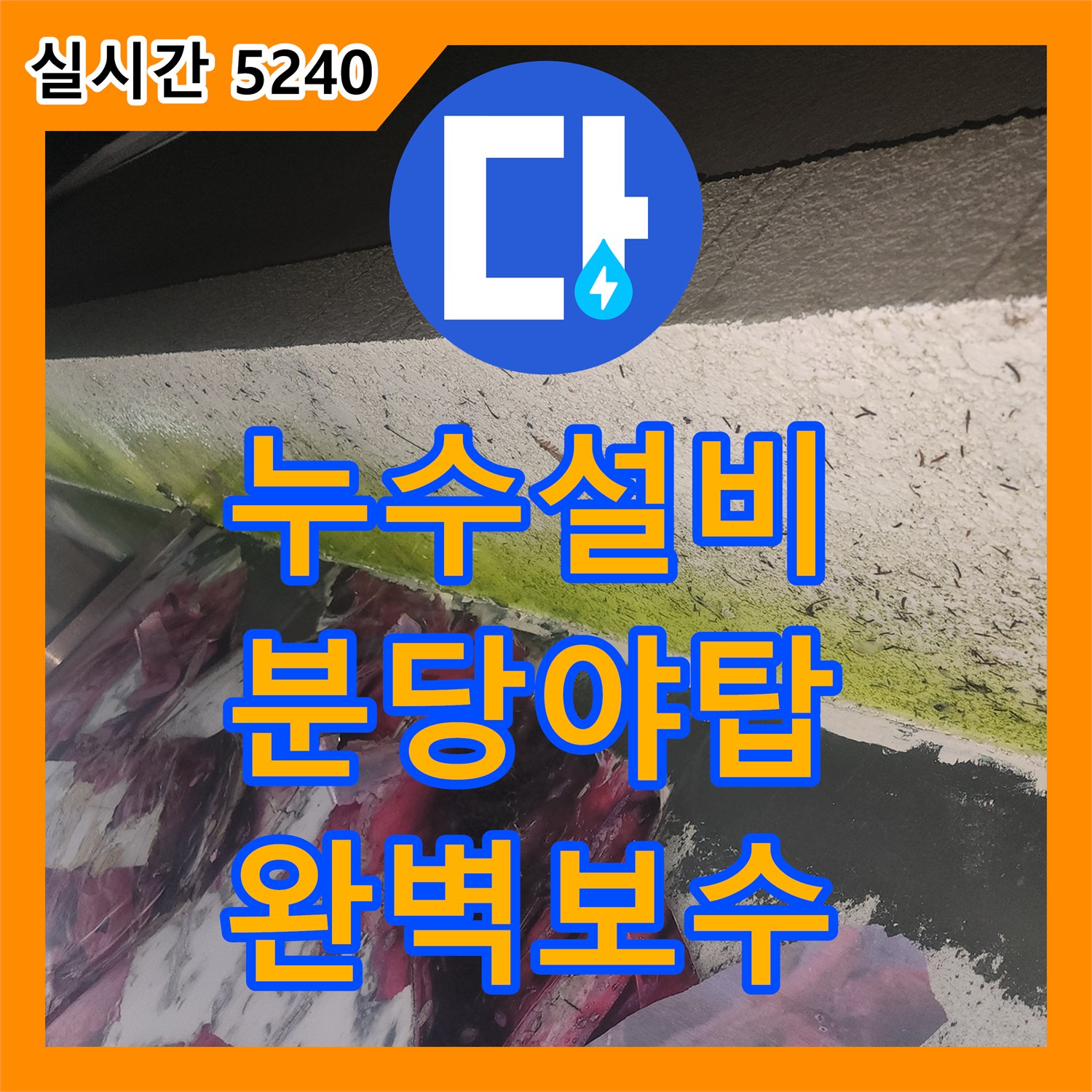 누수설비 지하 댄스학원 천장의 물샘 원인을 식당 배관에서 찾아 해결한 성남시 분당구 야탑동 작업기