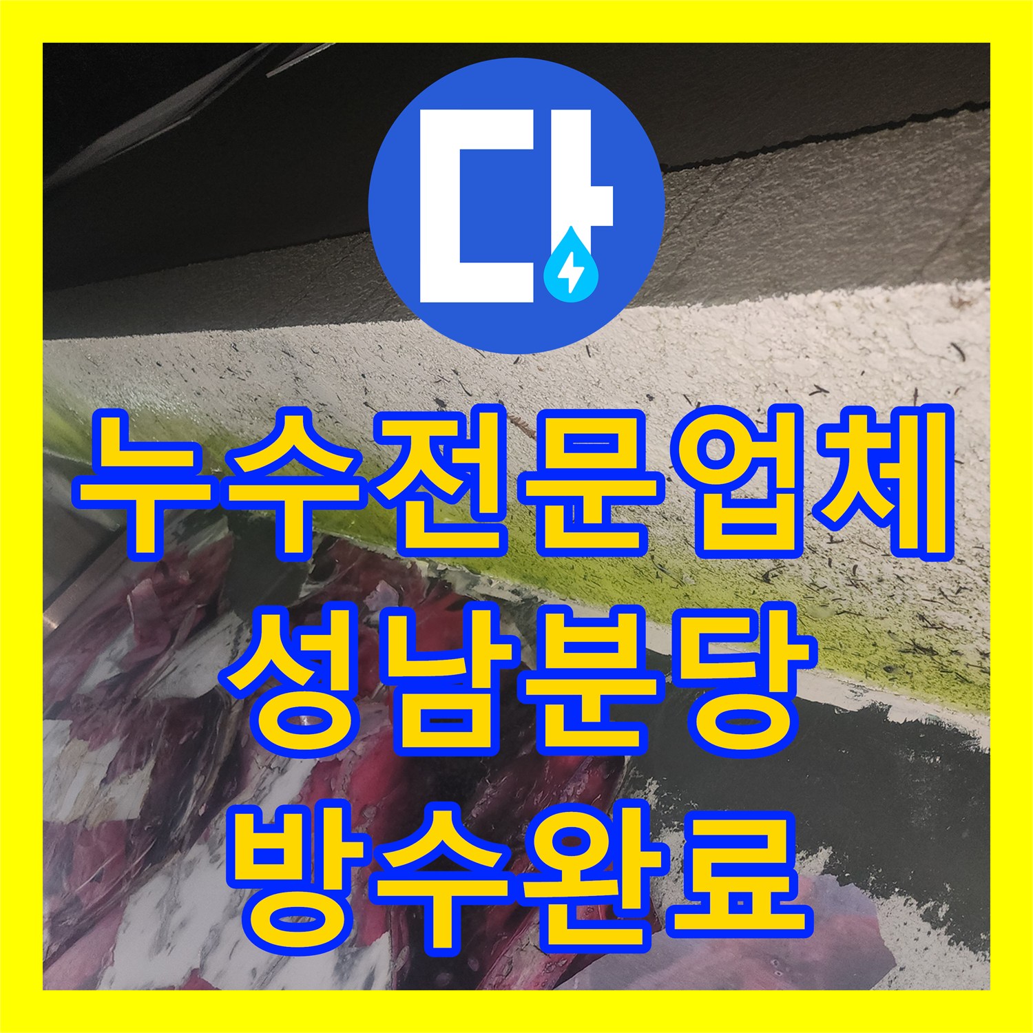 누수전문업체 지하층 천장 누수를 일으킨 위층 식당 싱크대 호스 보수 성남시 분당구