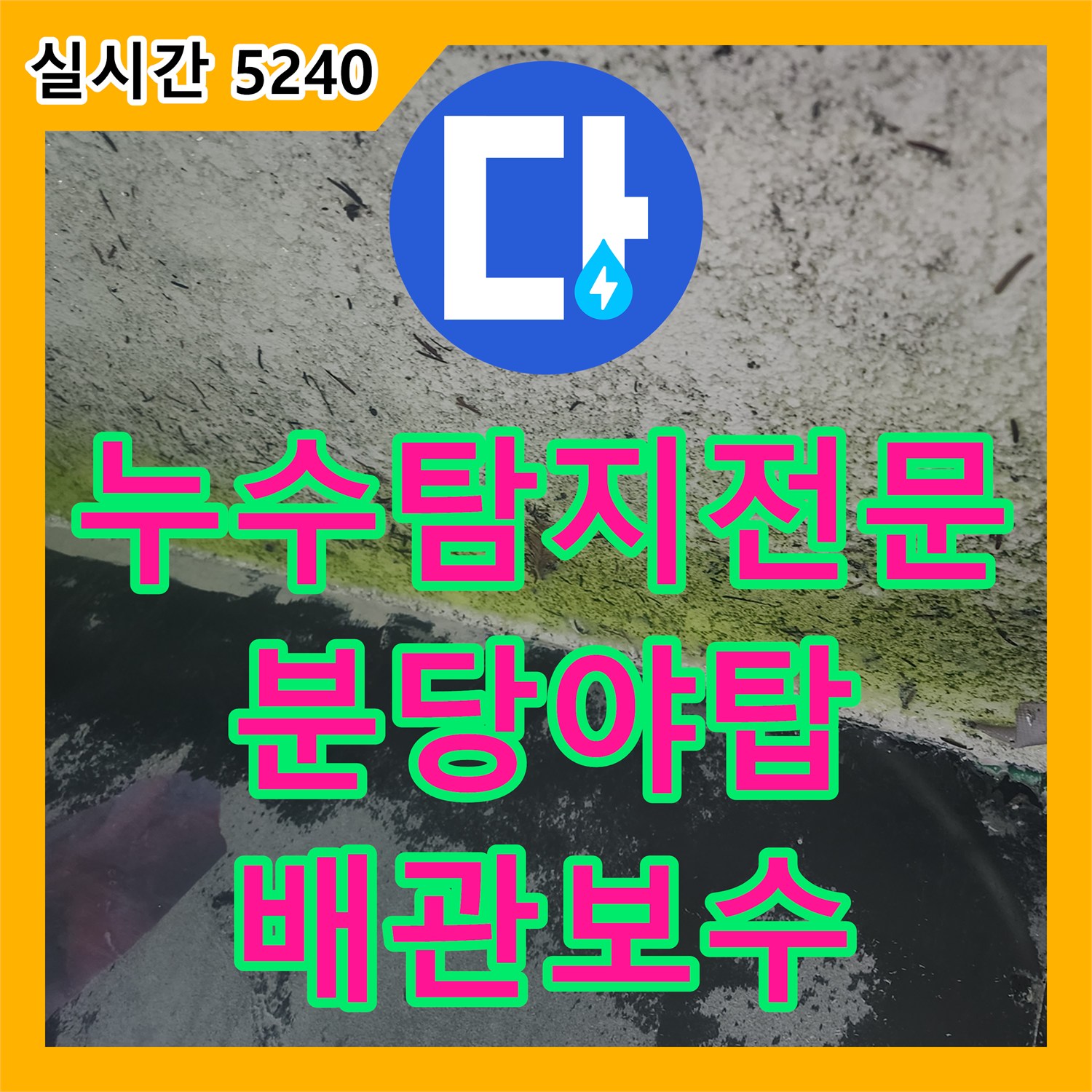 누수탐지전문 지하 댄스학원 천장 누수를 유발한 상층부 식당 배관 결함 해결 성남시 분당구 야탑동