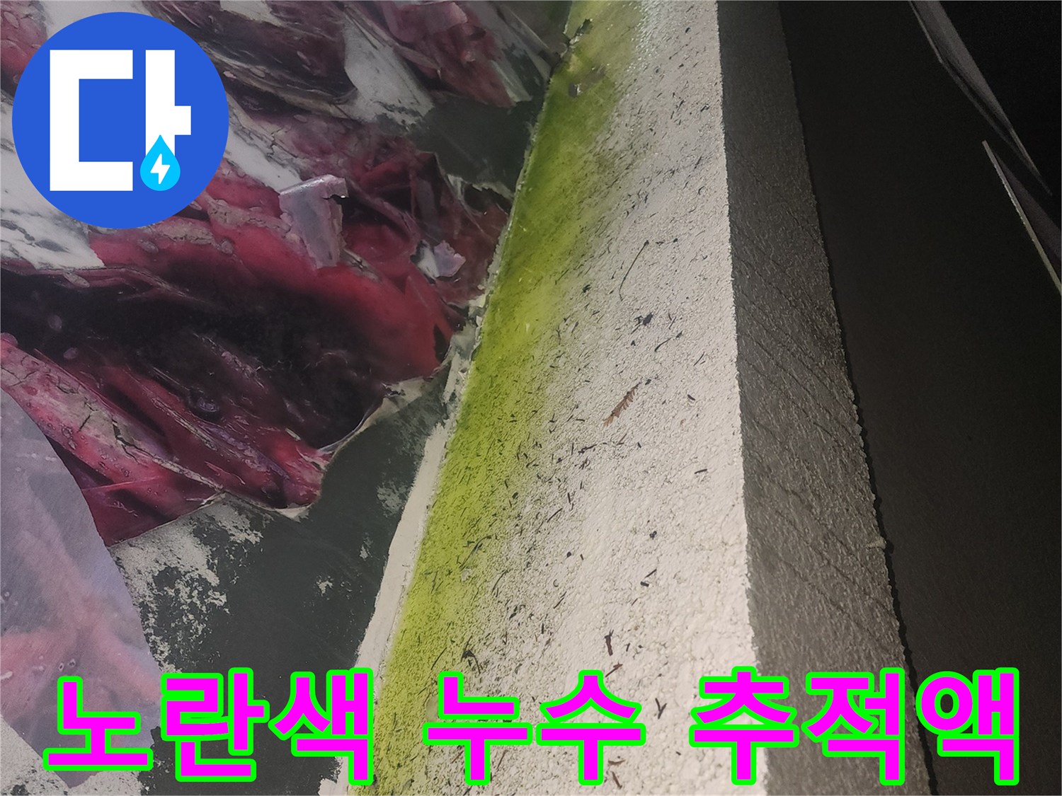 창가 주변-형광 염료를 통한 물길 유입 경로 확인 작업