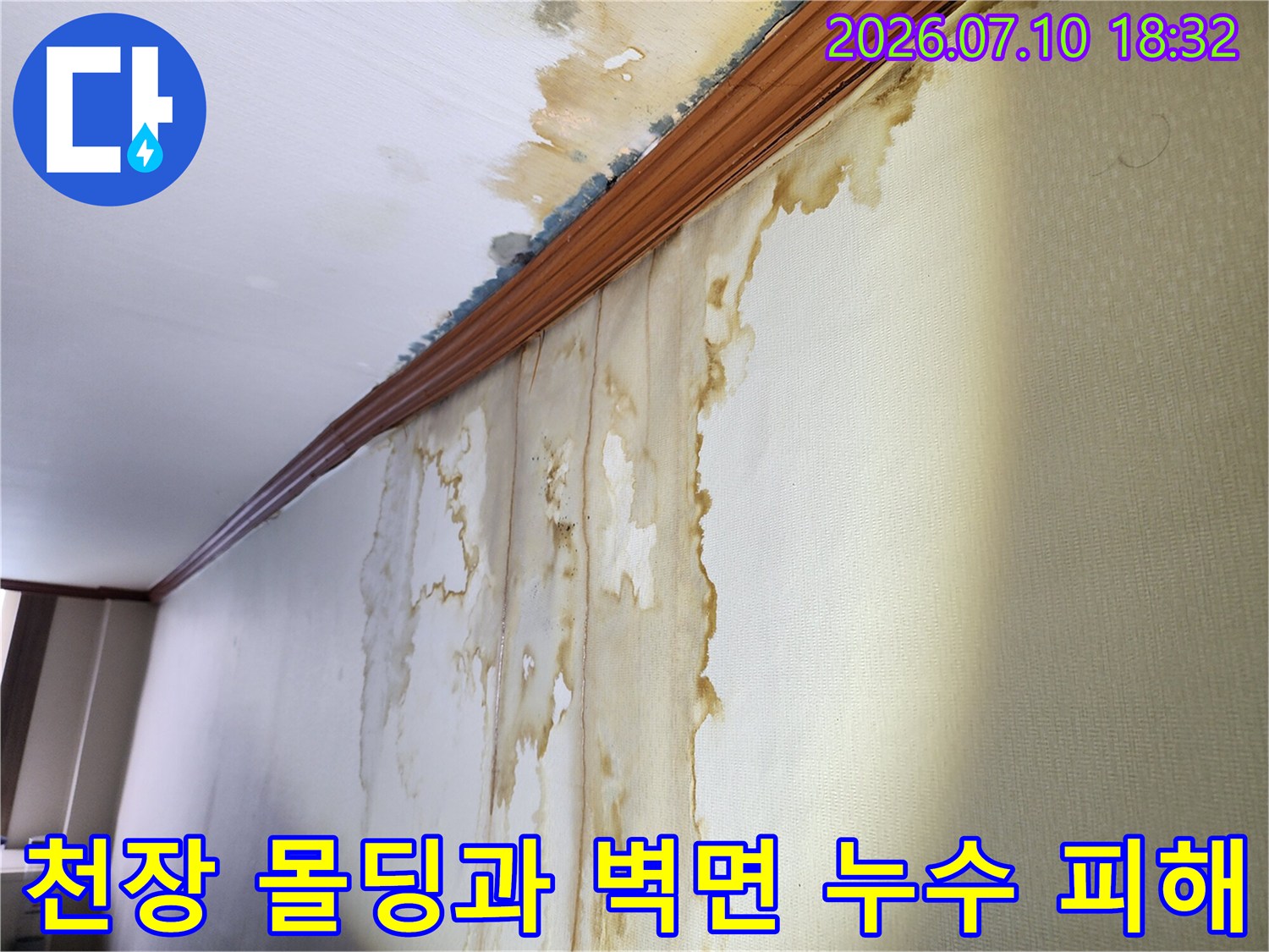 하수구 배관 결함으로 인해 벽지 위로 번진 물때와 얼룩
