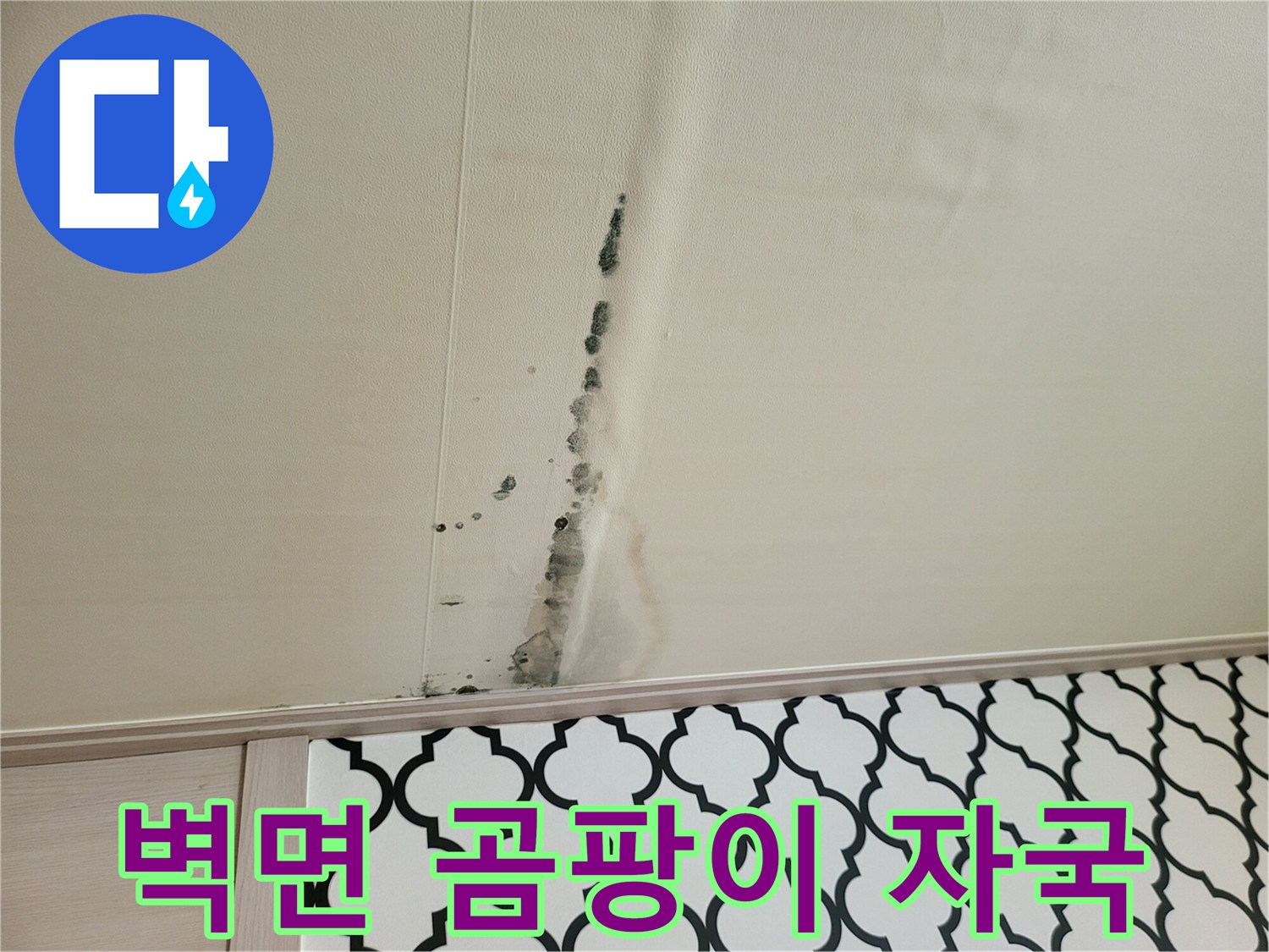 천장 벽지를 타고 흐른 물로 인한 곰팡이 오염